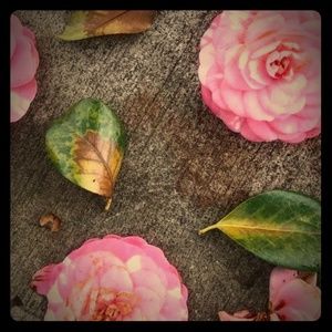 Meet your Posher, Paige